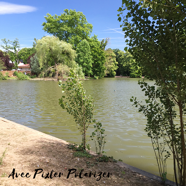 Test pixter polarizer