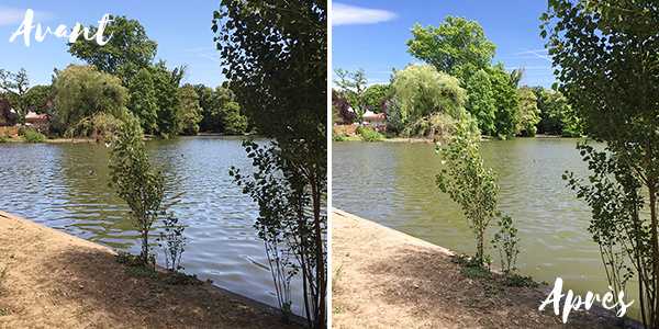 Test pixter polarizer