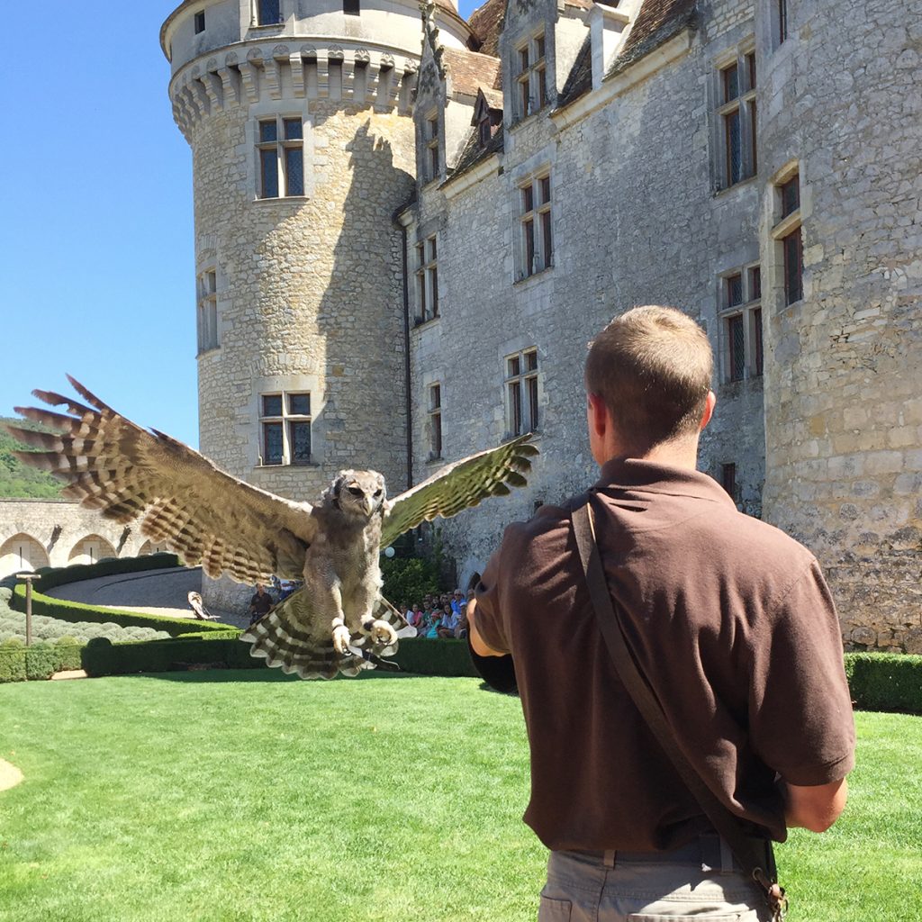 Spectacle de rapaces au Château des Milandes