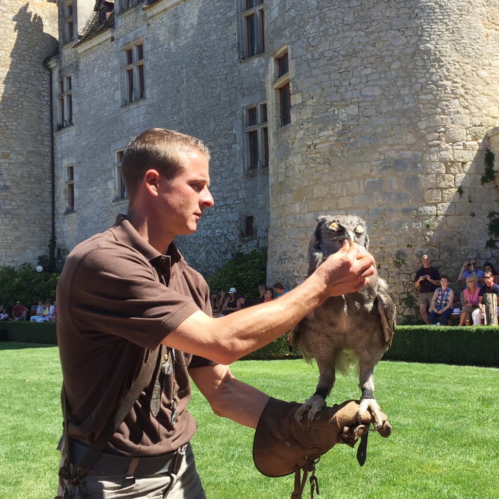 Spectacle de rapaces au Château des Milandes