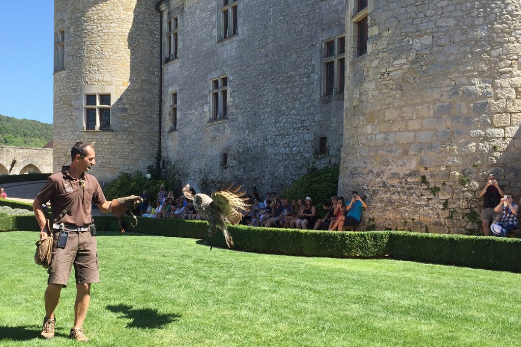 Spectacle de rapaces au Château des Milandes