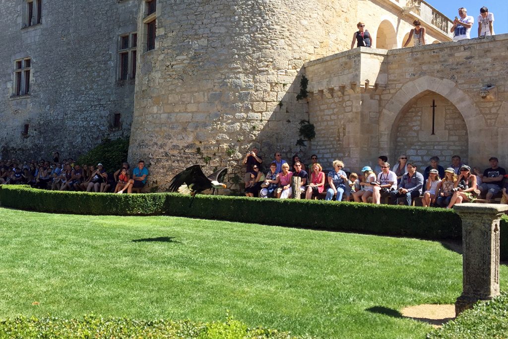 Spectacle de rapaces au Château des Milandes