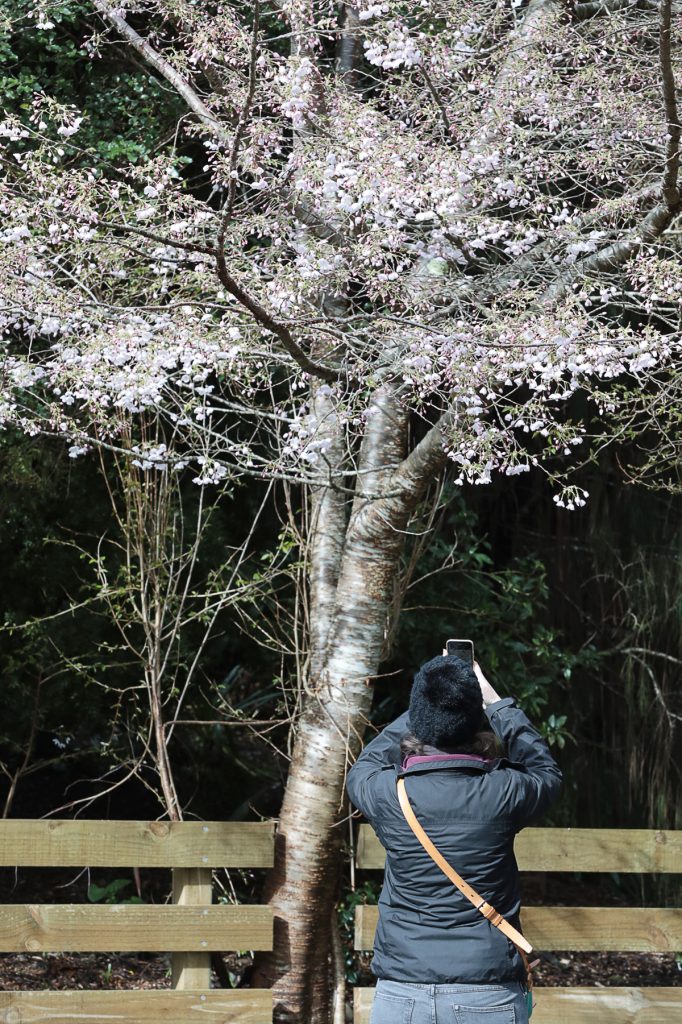 Voyage en Nouvelle-Zélande 2017