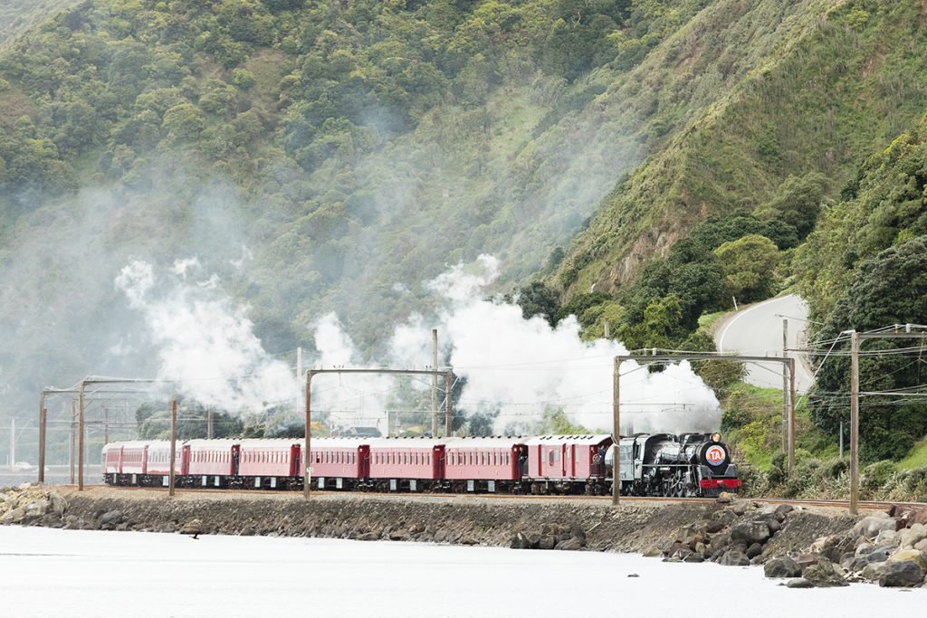Steamed Train Wellington