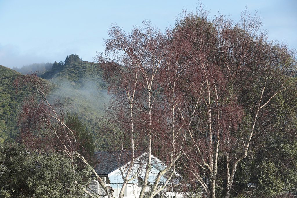 Voyage en Nouvelle-Zélande 2017