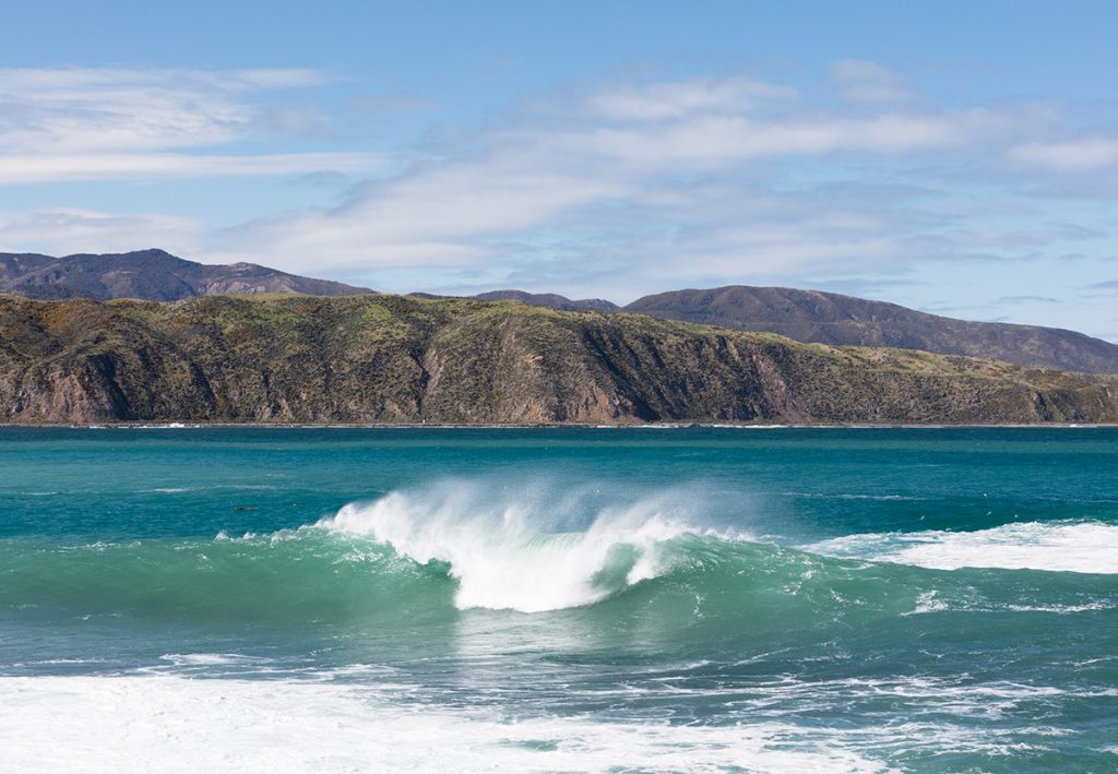 Baie de Wellington, NZ