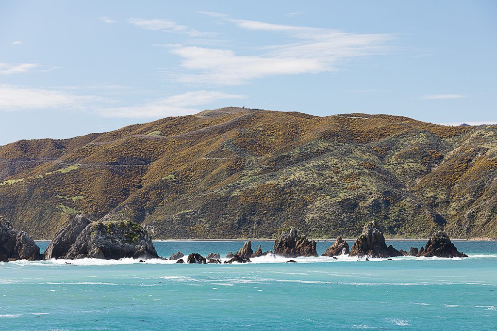 Baie de Wellington, NZ