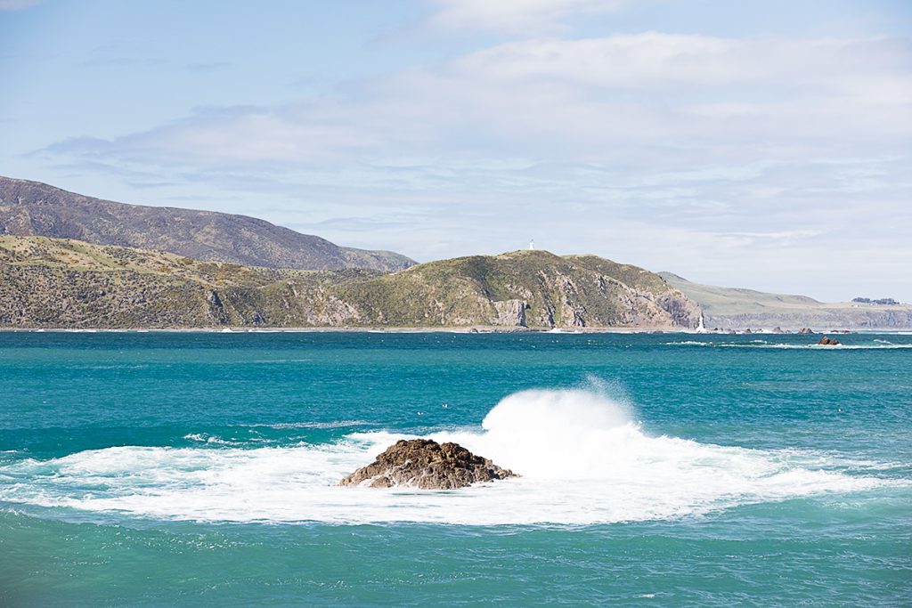 Baie de Wellington, NZ