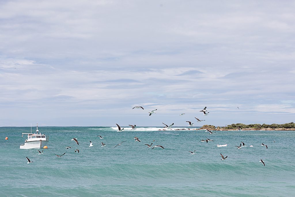 Baie de Wellington, NZ
