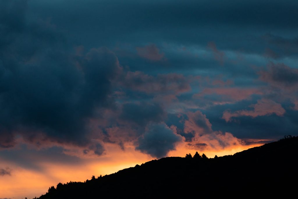 Otago Peninsula, Dunedin