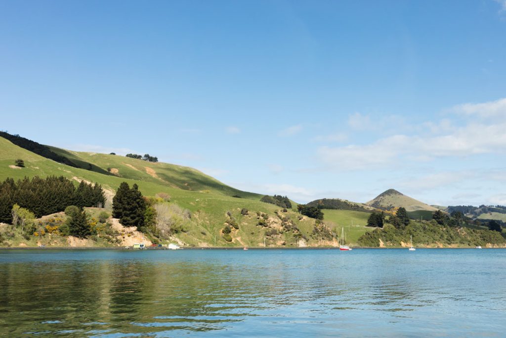 harrington point, dunedin