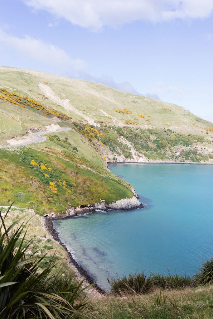 harrington point, dunedin