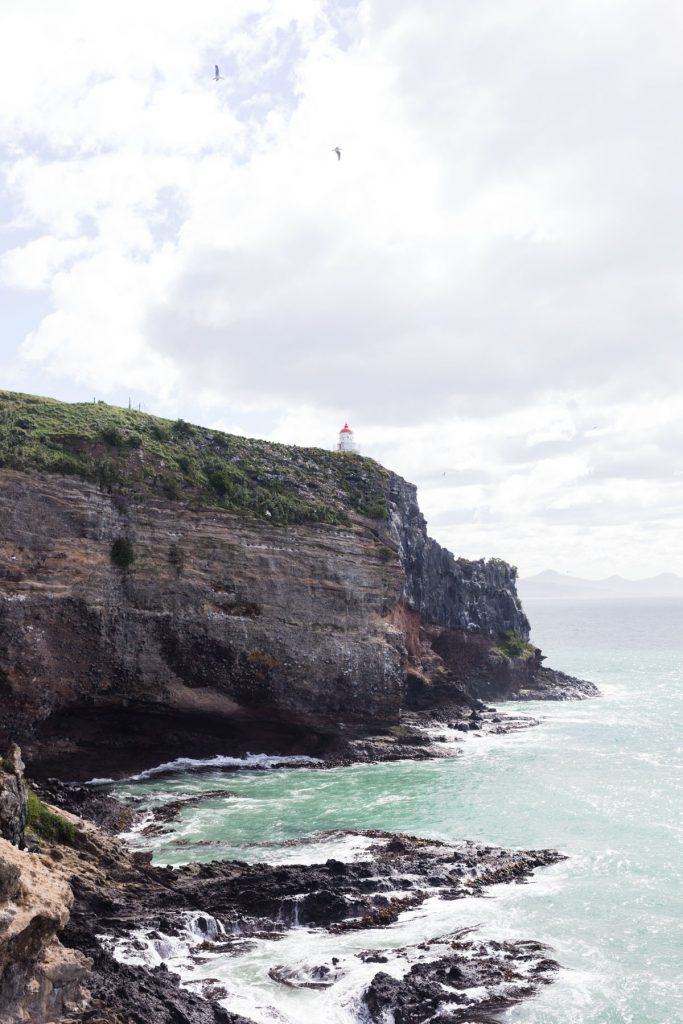 harrington point, dunedin