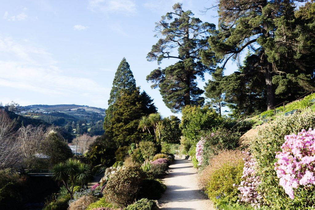 jardin botanique de Dunedin NZ