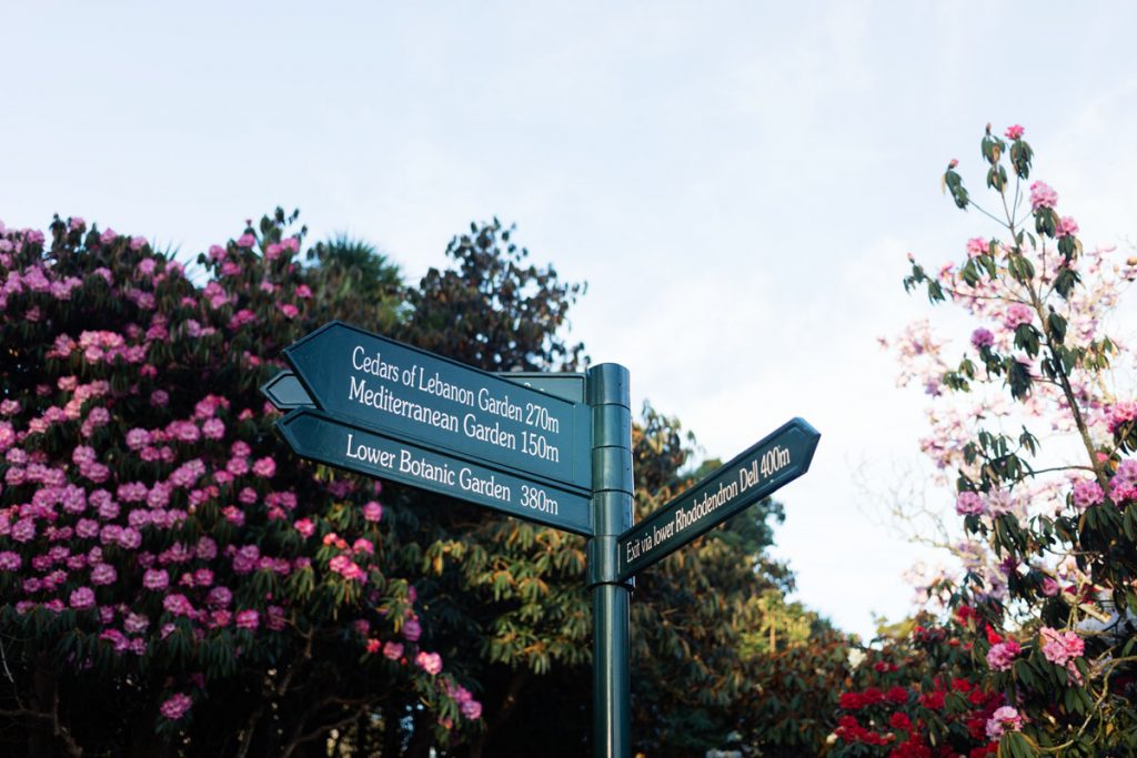 jardin botanique de Dunedin NZ