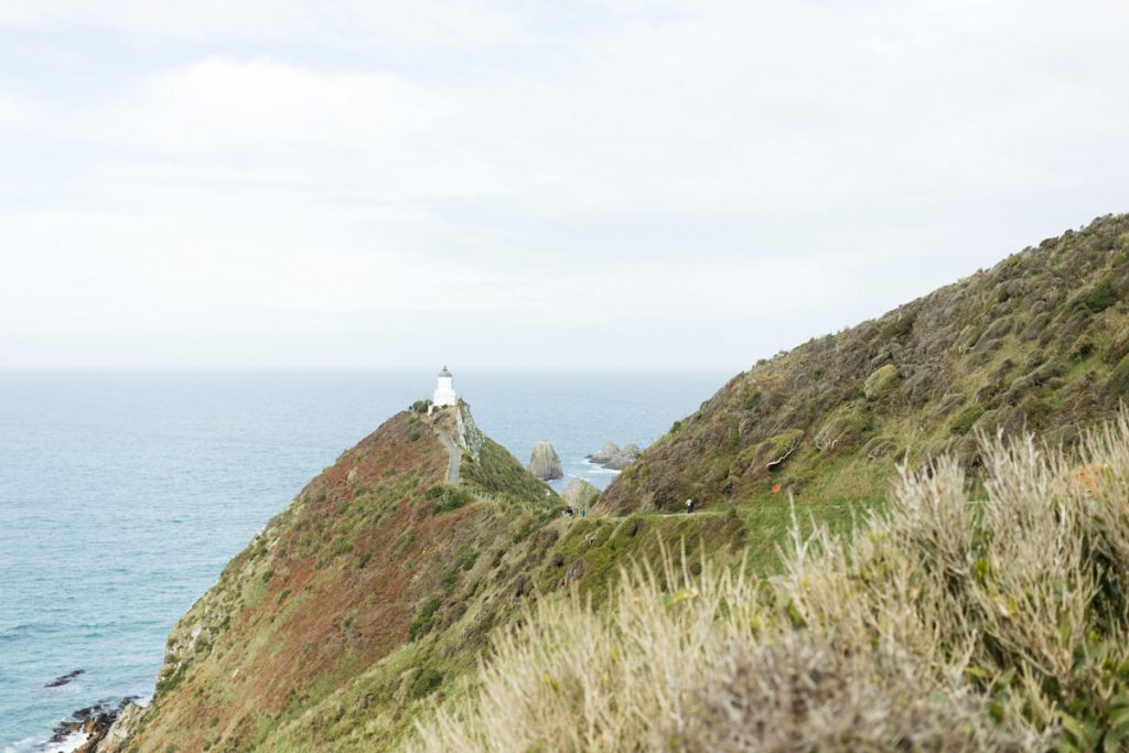Nugget Point, Catlins NZ