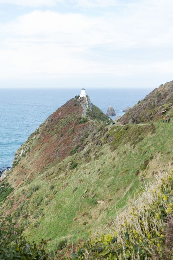 Nugget Point, Catlins NZ