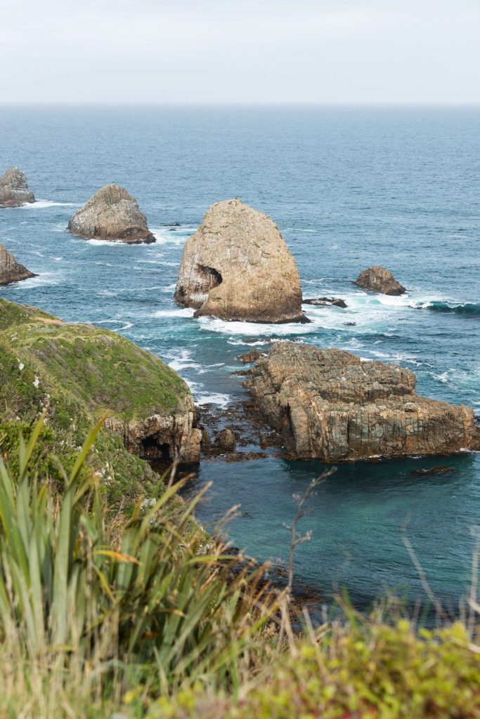 Nugget Point, Catlins NZ