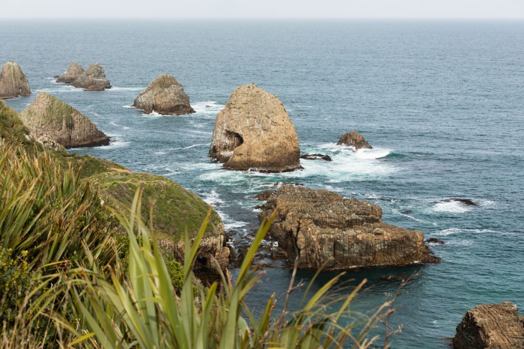 Nugget Point, Catlins NZ