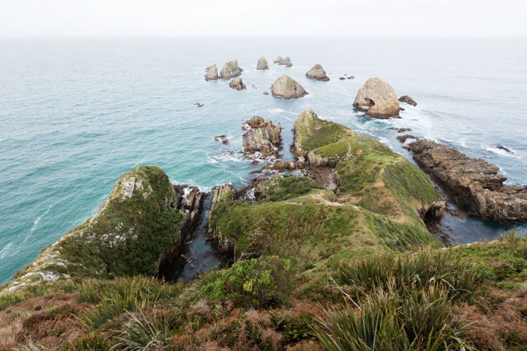 Nugget Point, Catlins NZ