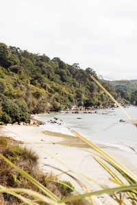 Lee Bay, Stewart Island NZ