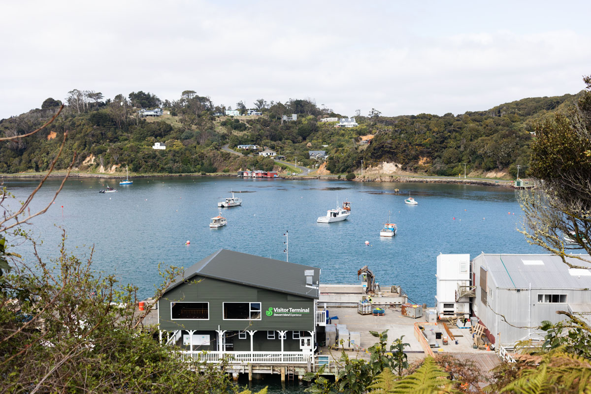 Halfmoon Bay, Stewart Island