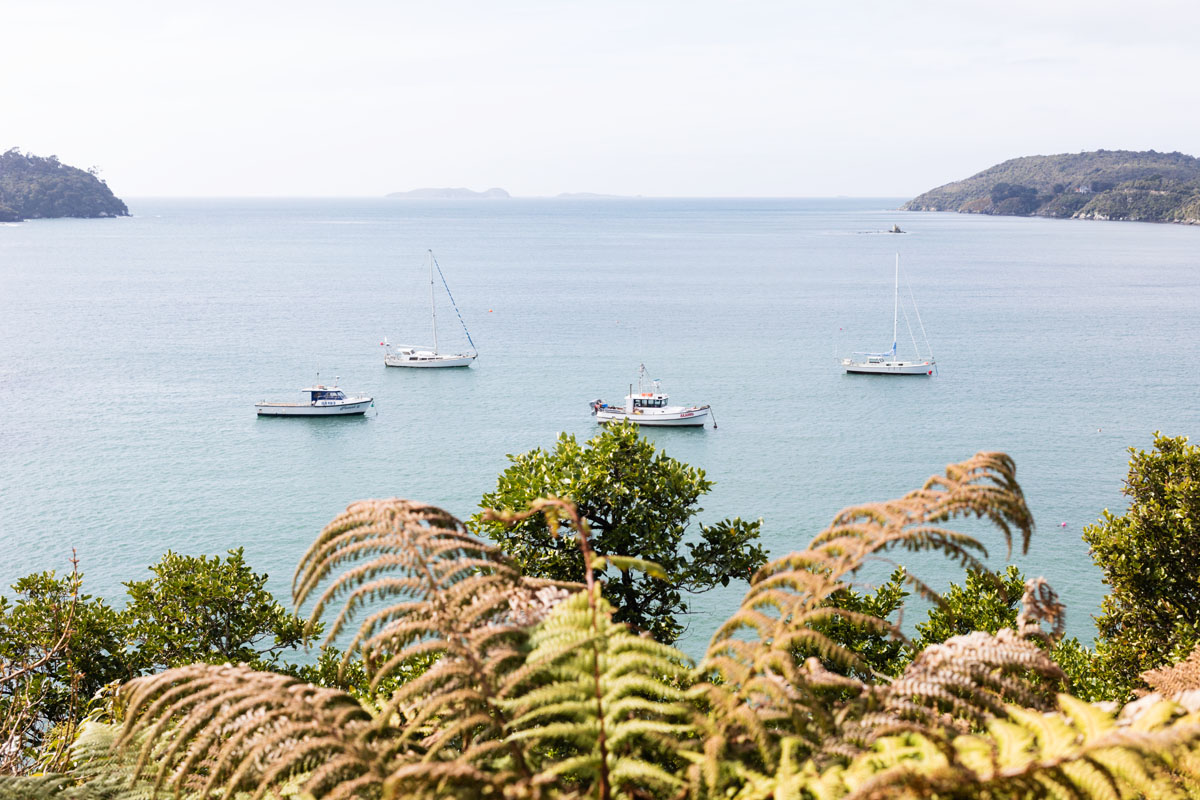 Halfmoon Bay, Stewart Island