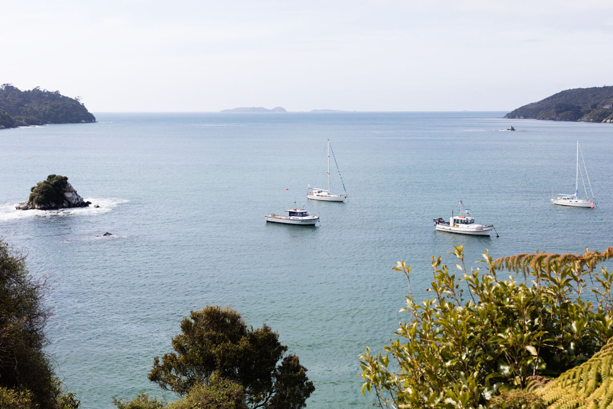 Halfmoon Bay, Stewart Island