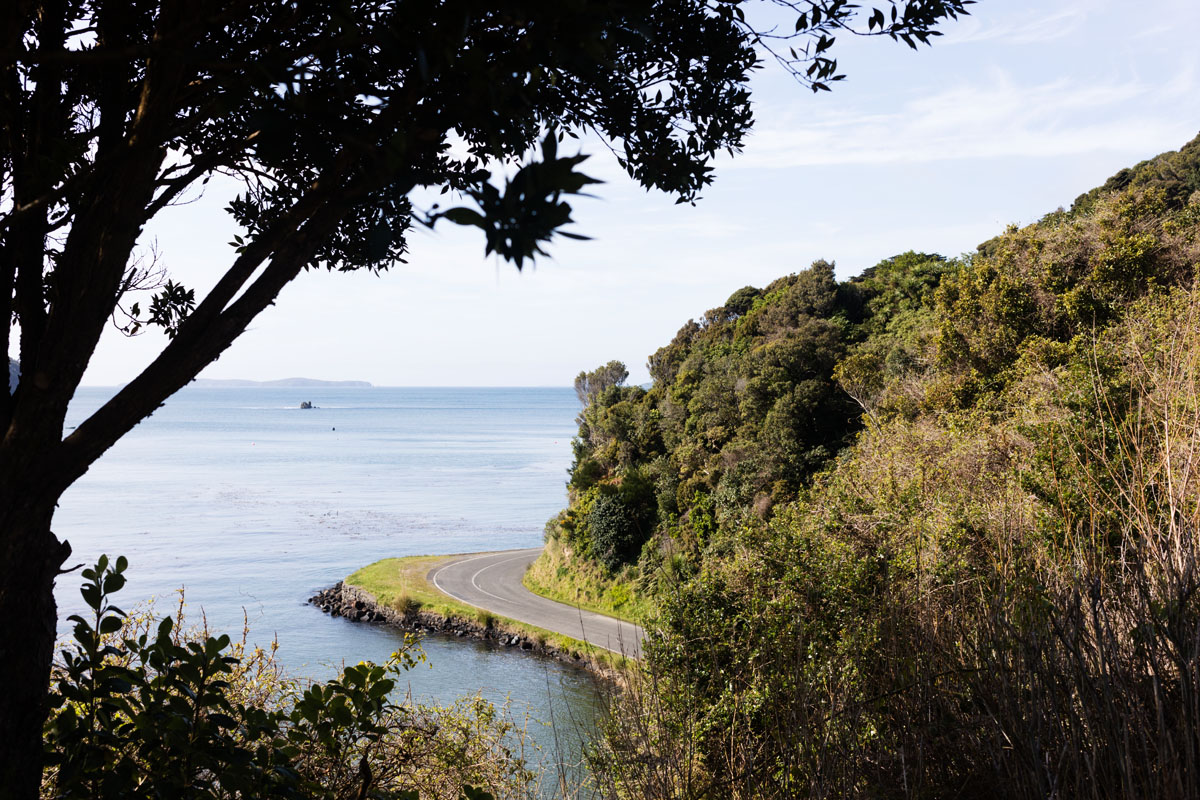 Halfmoon Bay, Stewart Island