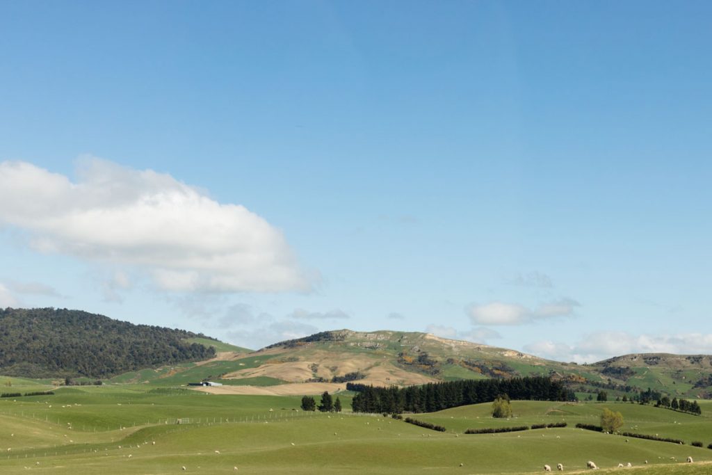 Southland New Zealand