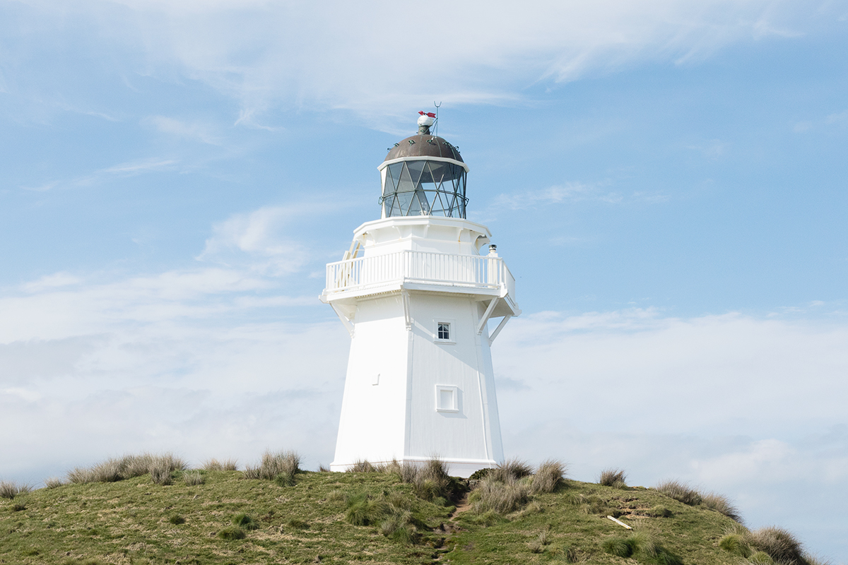 Waipapa Point Catlins NZ