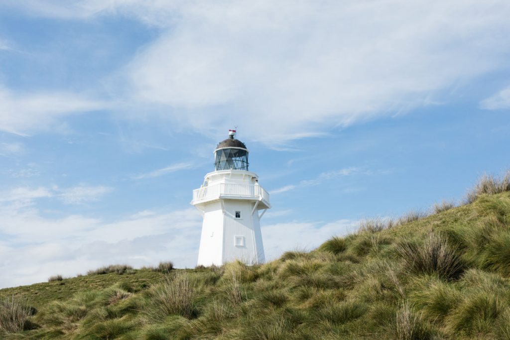 Waipapa Point Catlins NZ