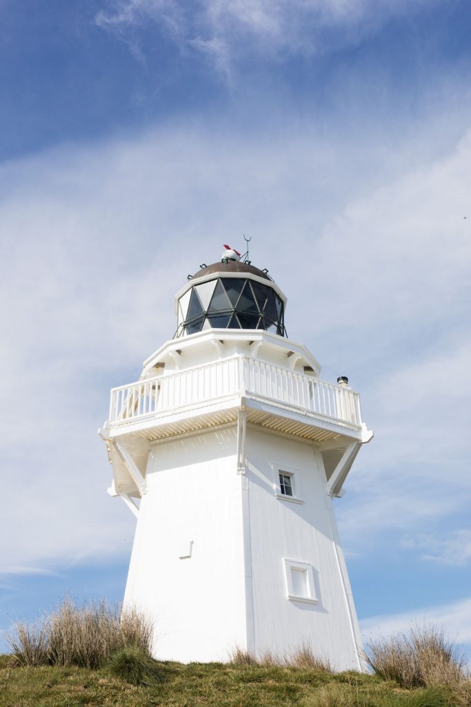 Waipapa Point Catlins NZ