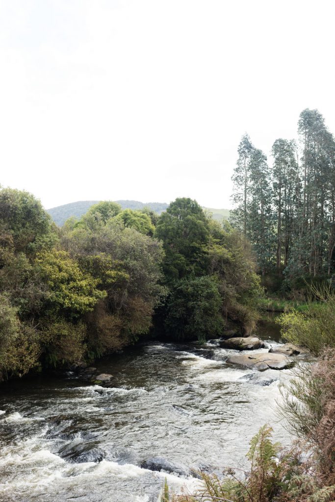 Niagara falls Catlins NZ