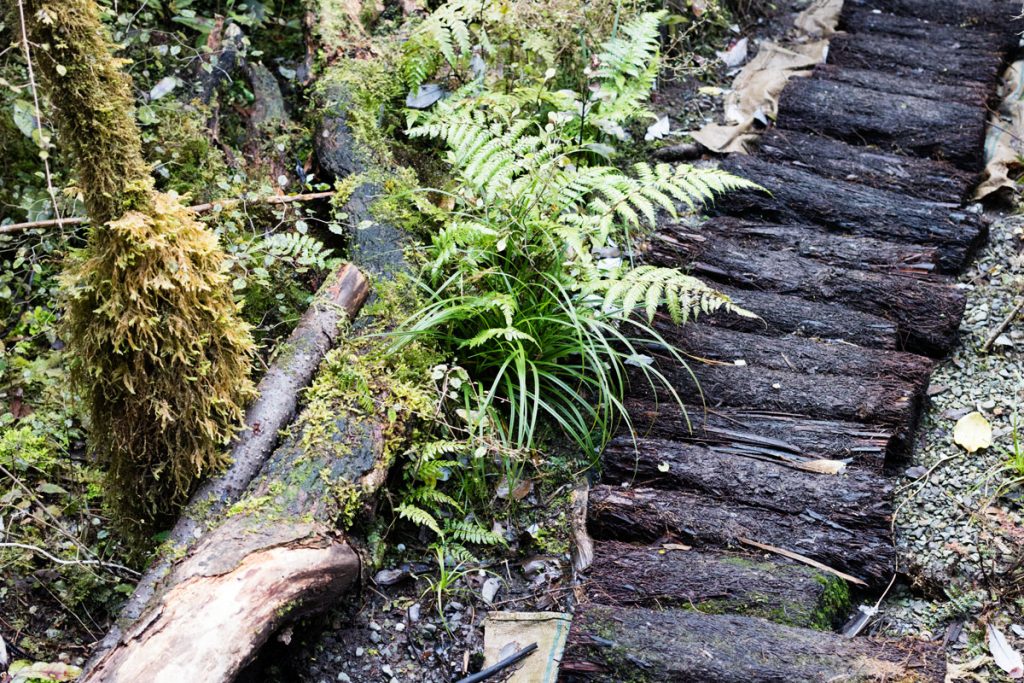 Koropuku Falls Catlins NZ