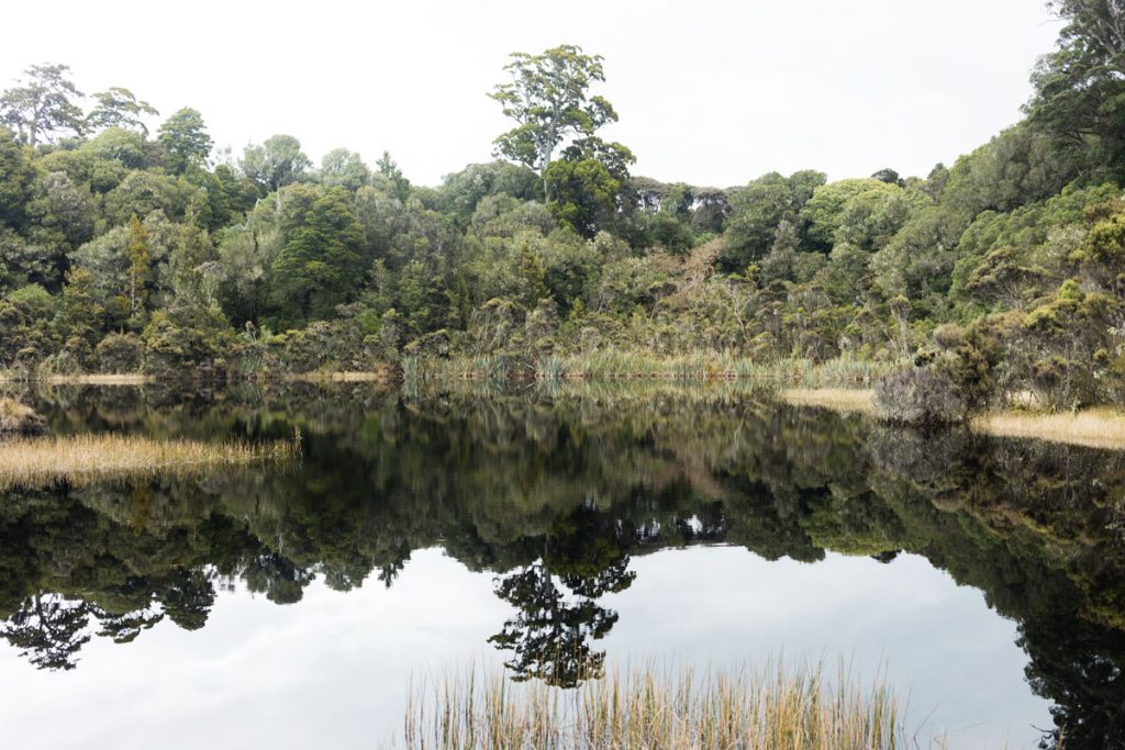 Lake Wilkie Catlins NZ