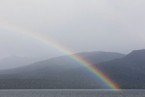 Te Anau lake