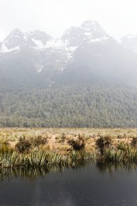 Mirror Lake Milford Sound