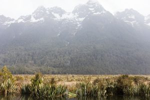 Mirror Lake Milford Sound