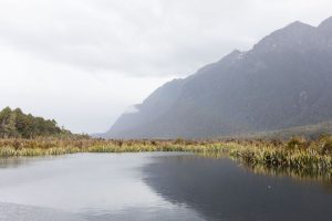 Mirror Lake Milford Sound