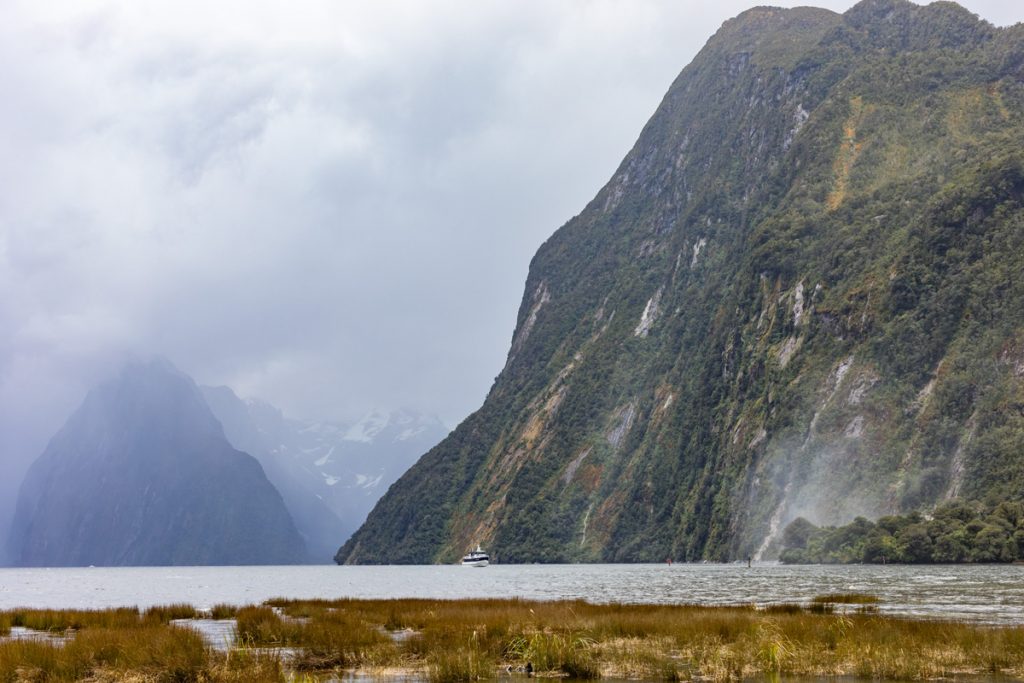 Southern Discoveries Milford Sound NZ