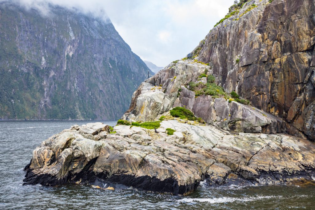 Southern Discoveries Milford Sound NZ
