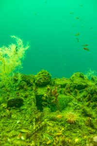 Discovery Center Milford Sound