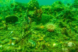 Discovery Center Milford Sound