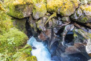 The Chasm Milford road