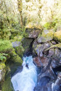 The Chasm Milford road