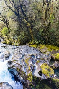 The Chasm Milford road