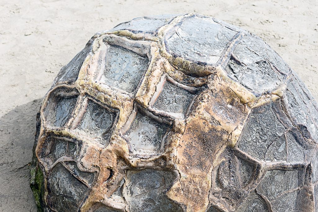 Koekohe beach moeraki boulders dunedin