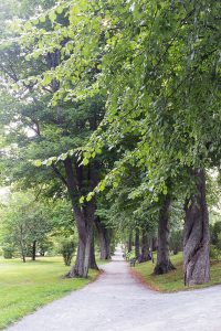 Public Gardens Halifax