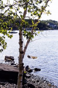 Point Pleasant parc Halifax